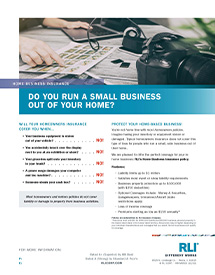 home business insurance photographer consumer brochure